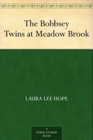 The Bobbsey Twins at Meadow Brook