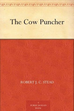 The Cow Puncher