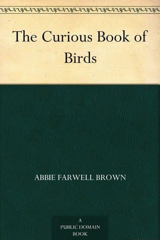 The Curious Book of Birds