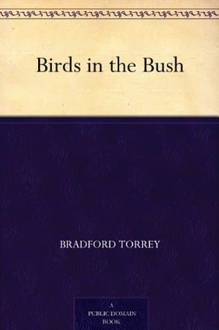 Birds in the Bush