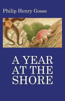 A Year at the Shore cover