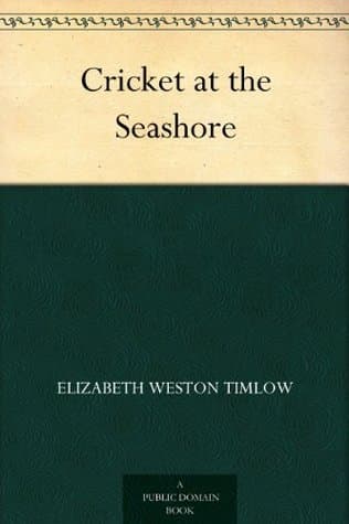 Cricket at the Seashore